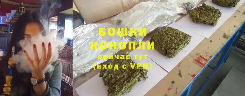 наркота  Дедовск  Шишки марихуана Ganja 